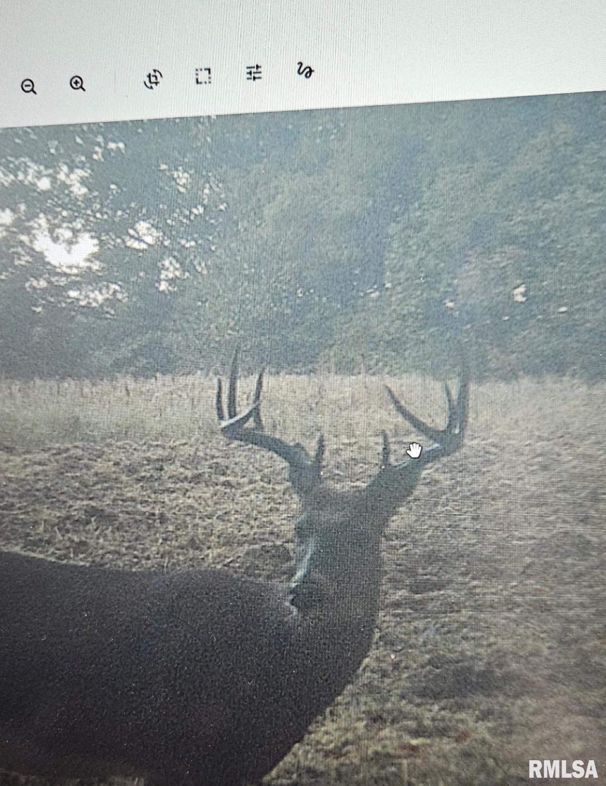 0 State Route 147 Highway Simpson, IL 62985 - Photo 6 of 53