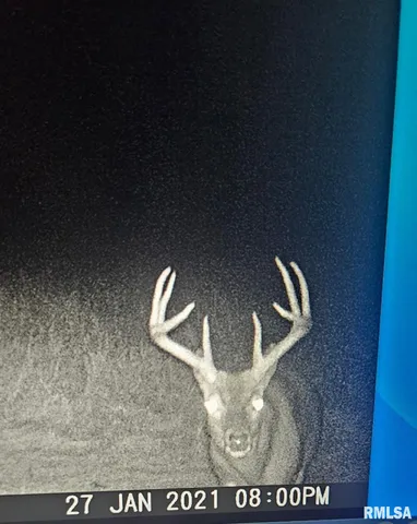 $395,000 | 0 State Route 147 Highway, Simpson, IL 62985