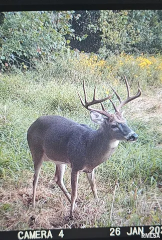 $395,000 | 0 State Route 147 Highway, Simpson, IL 62985