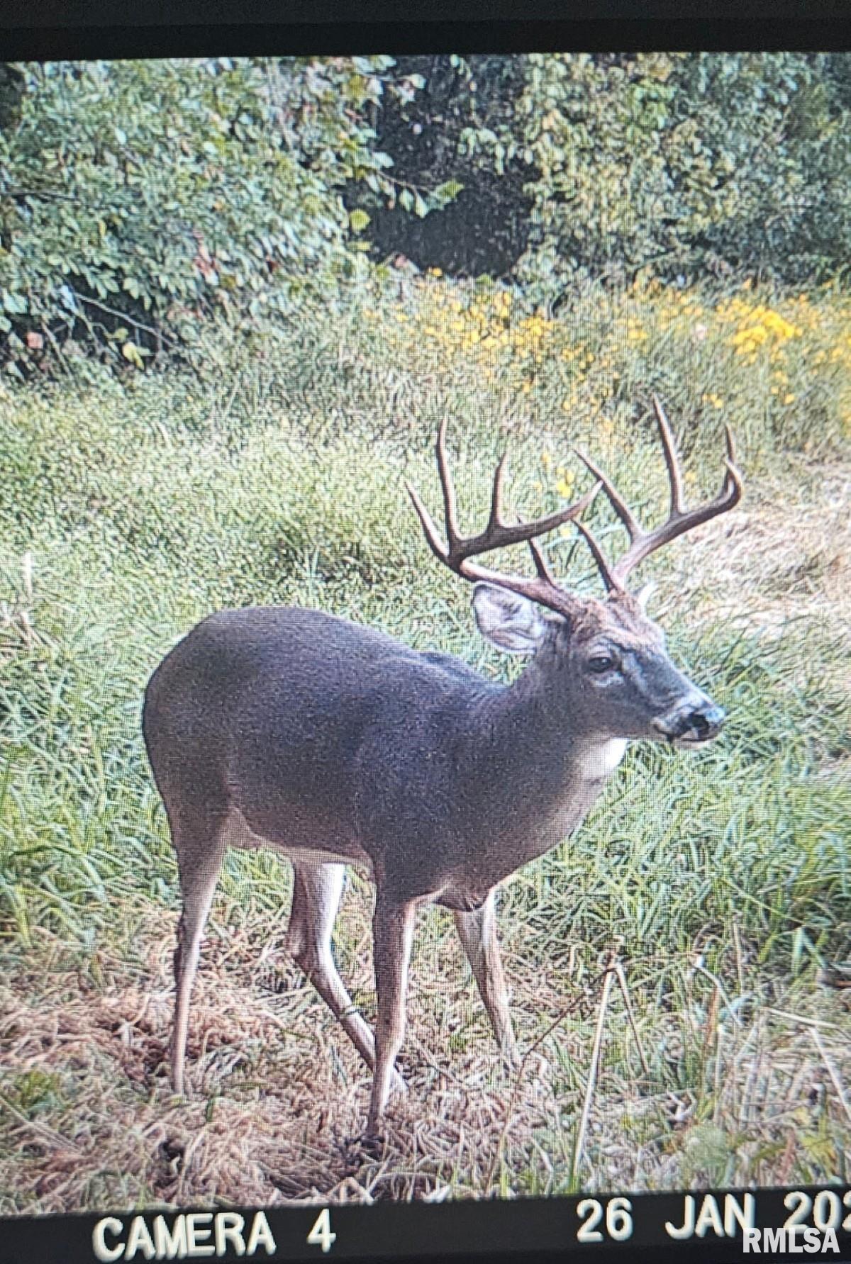 0 State Route 147 Highway Simpson, IL 62985 - Photo 8 of 53