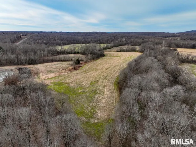 $395,000 | 0 State Route 147 Highway, Simpson, IL 62985