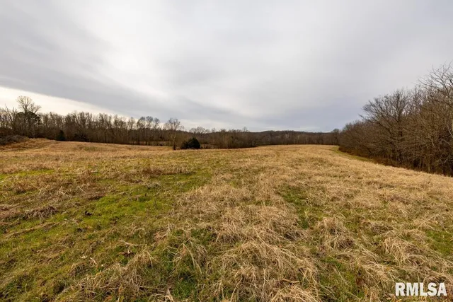 $395,000 | 0 State Route 147 Highway, Simpson, IL 62985