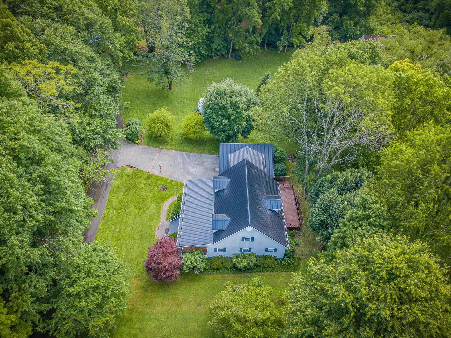 105 Ridgewood Road Unicoi, TN 37692 - Photo 3 of 59 104