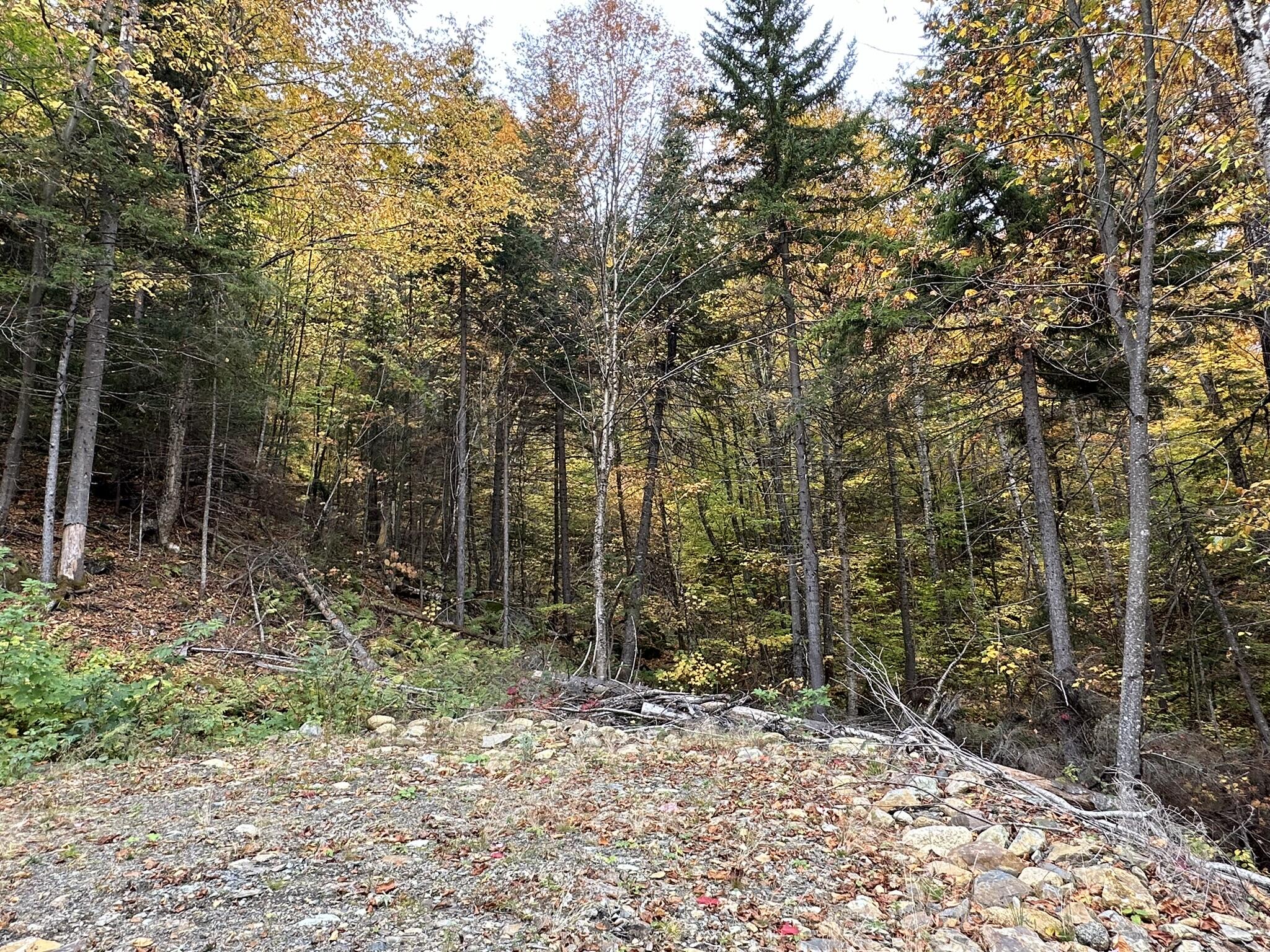 Lot #b-1 Mountain Road Stratton, ME 04982 - Photo 13 of 22 IMG_2666