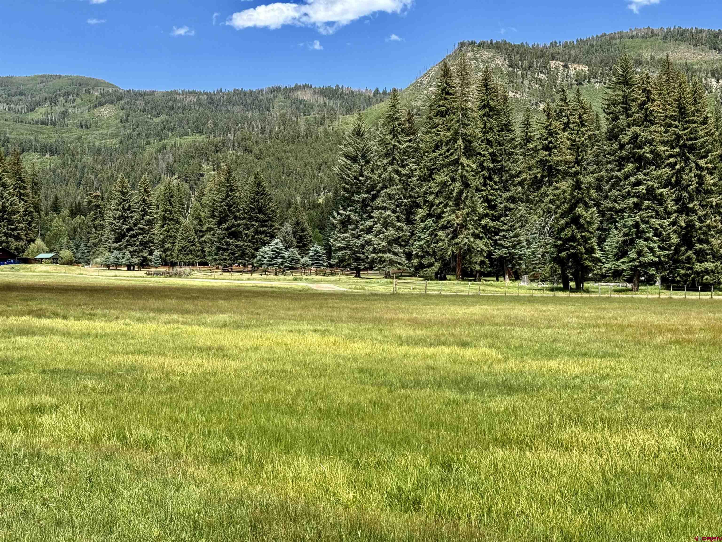 156 Golden Forest Road Bayfield, CO 81122 - Photo 2 of 23