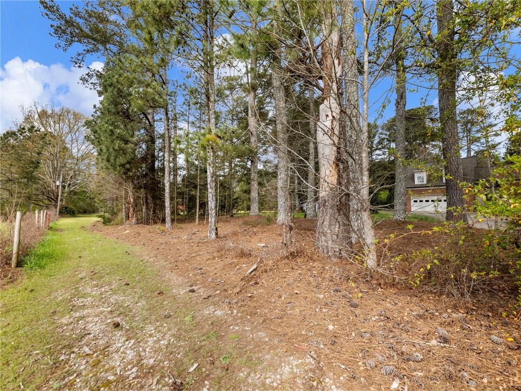 945 Poplar Street Monroe, GA 30655 - Photo 7 of 55 a view of a yard with plants and trees
