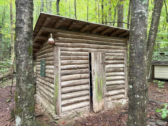 a view of a back yard of the house