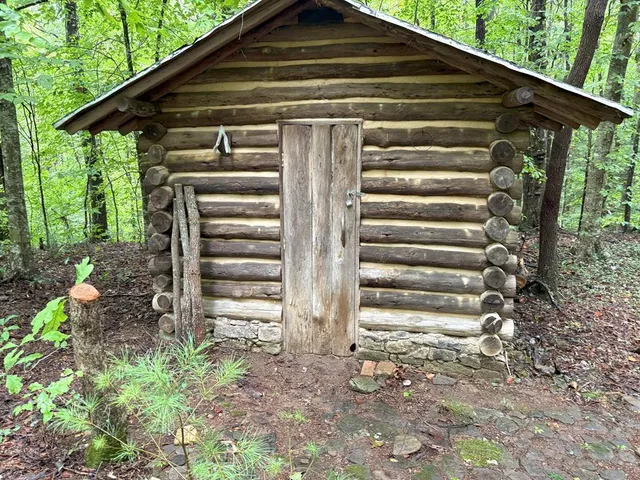 a front view of house with a garden