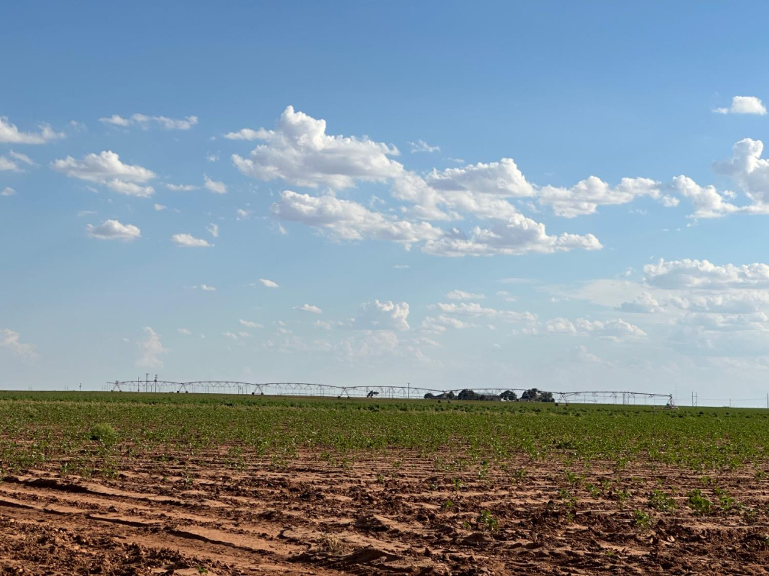 Dove Ropesville, TX 79358 - Photo 1 of 16 a view of an ocean