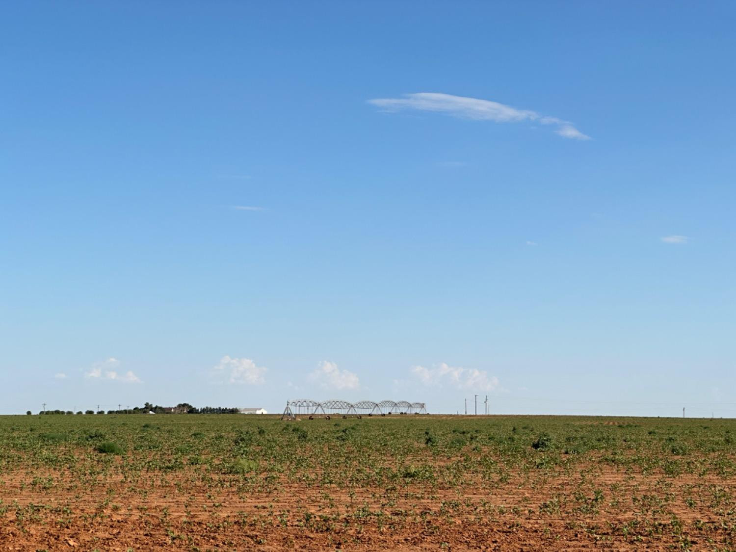 Dove Ropesville, TX 79358 - Photo 14 of 16 a view of ocean view