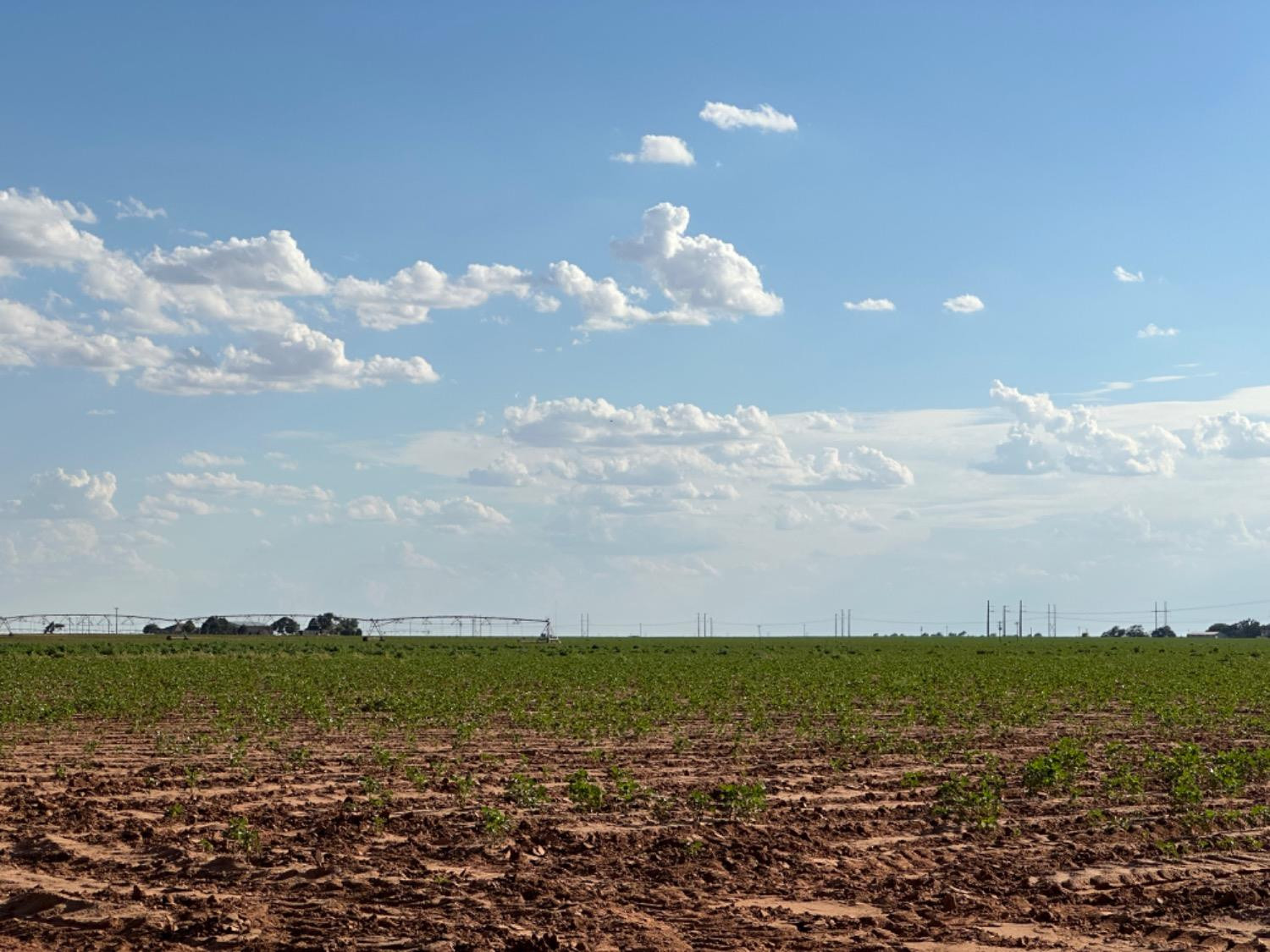 Dove Ropesville, TX 79358 - Photo 15 of 16 a view of lake