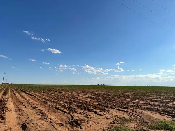 $695,000 | Dove, Ropesville, TX 79358