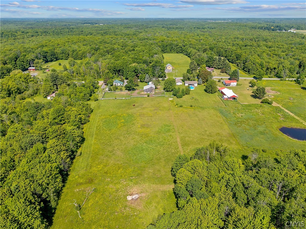 436 Albion Cross Road Pulaski, NY 13142 - Photo 45 of 49