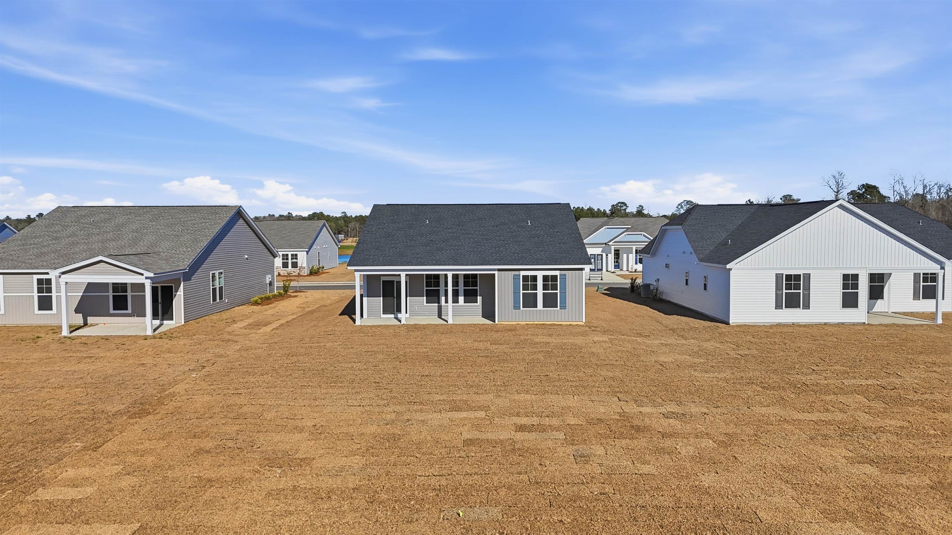 141 River Birch Drive Loris, SC 29569 - Photo 22 of 37 Back of property featuring a patio area and roof with shingles