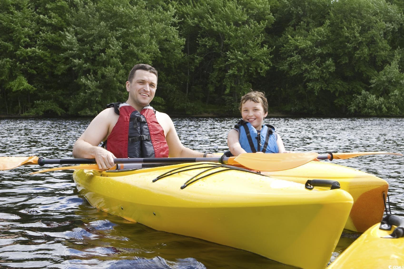 141 River Birch Drive Loris, SC 29569 - Photo 34 of 37 Dock with a water view