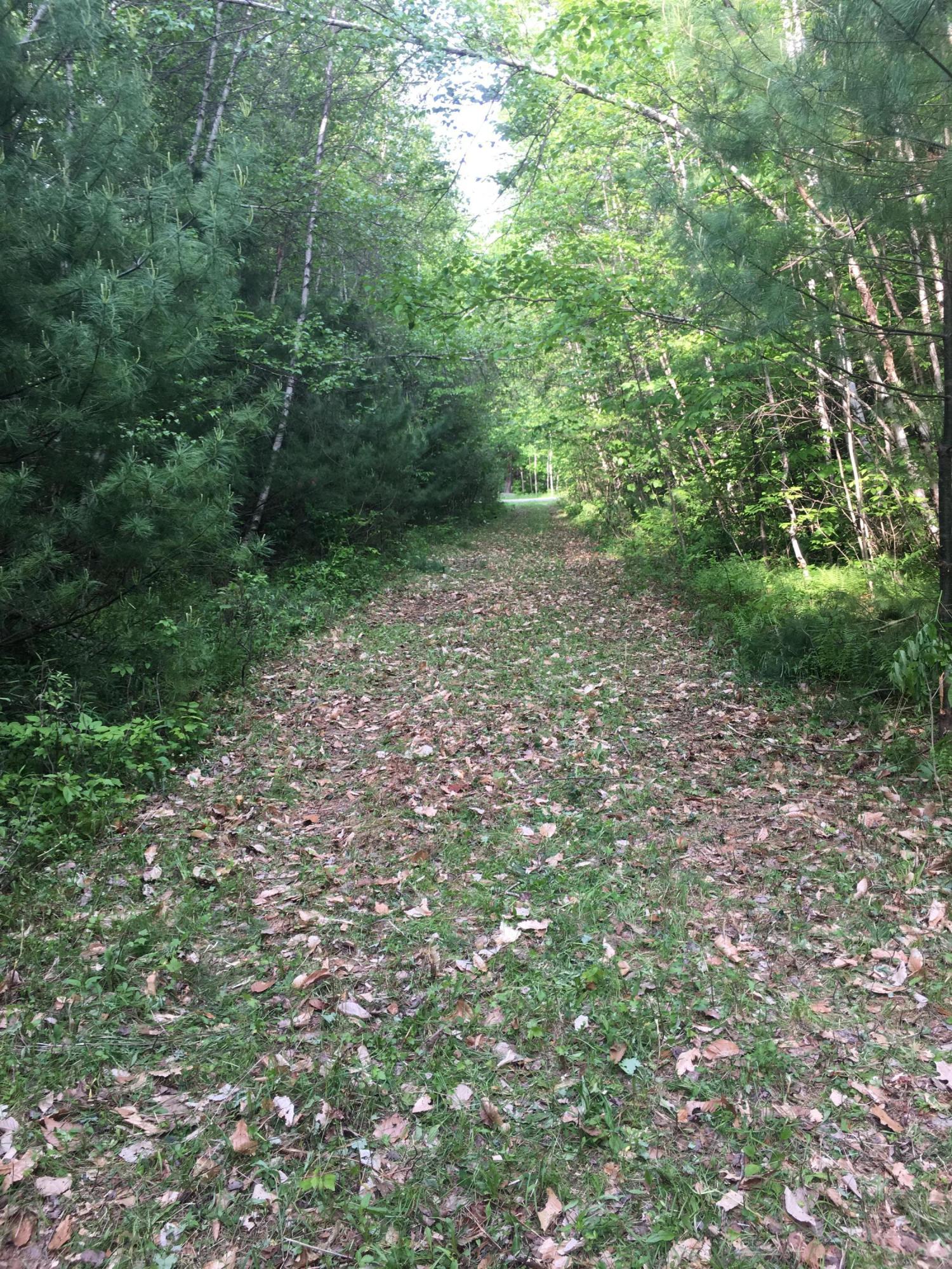 Lot 40.01 Jacobs Ladder Road Becket, MA 01223 - Photo 1 of 9 Road going into the property