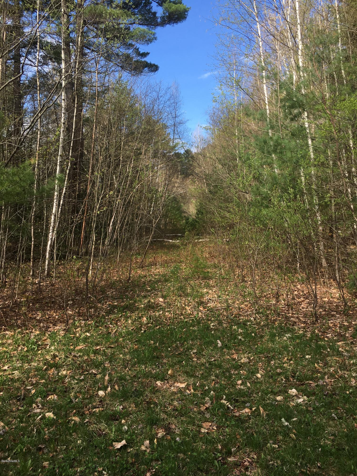 Lot 40.01 Jacobs Ladder Road Becket, MA 01223 - Photo 3 of 9 cut in drive to property