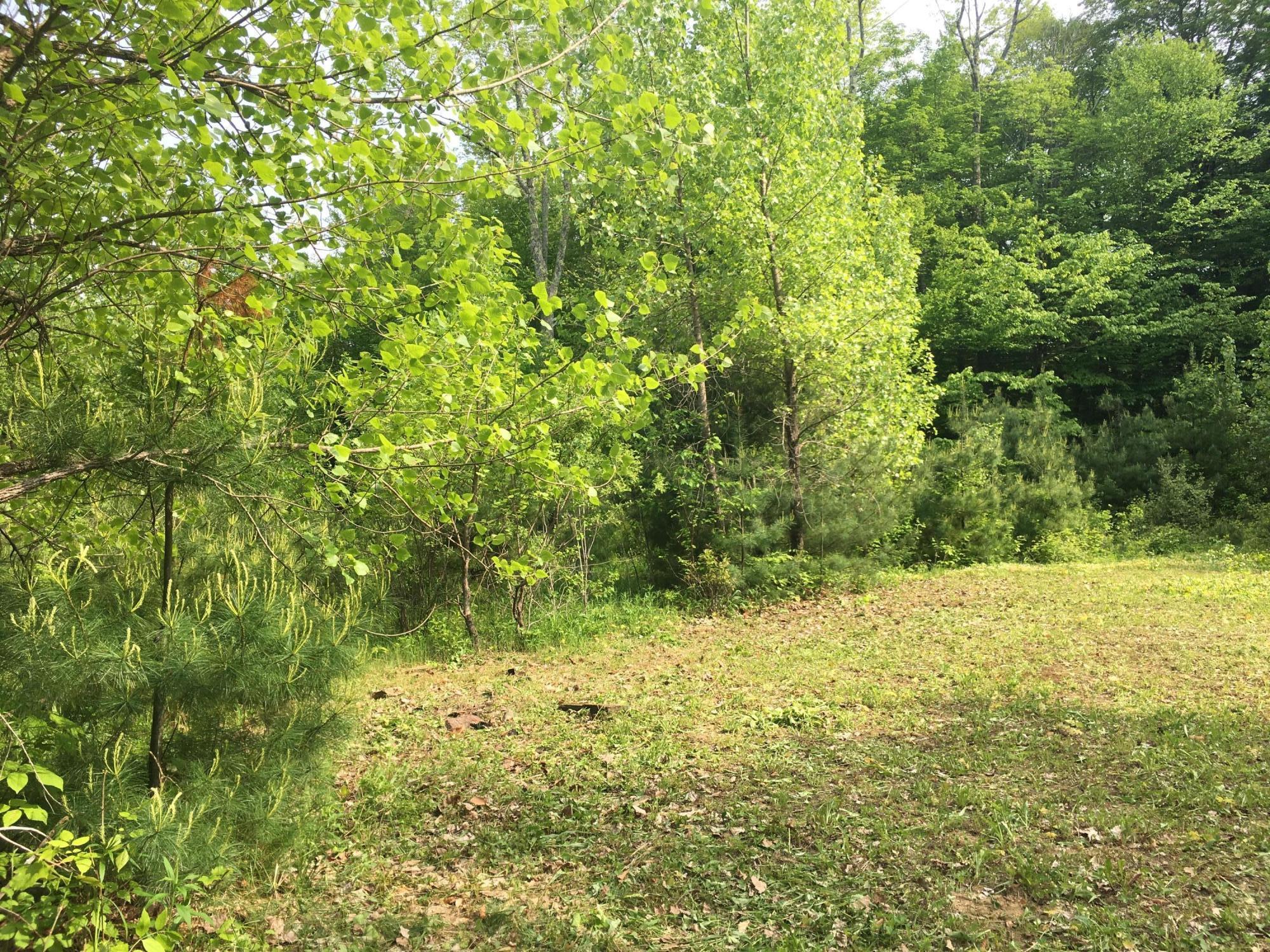 Lot 40.01 Jacobs Ladder Road Becket, MA 01223 - Photo 6 of 9 Open area with in the lot