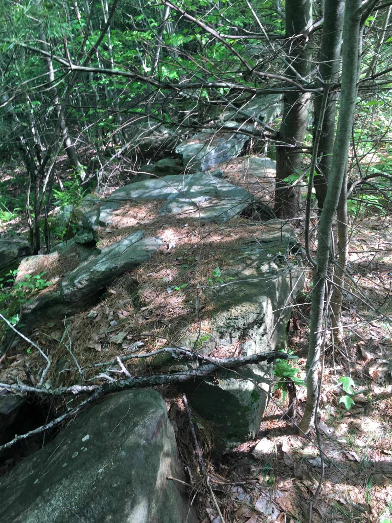 Lot 40.01 Jacobs Ladder Road Becket, MA 01223 - Photo 7 of 9 Stone walls