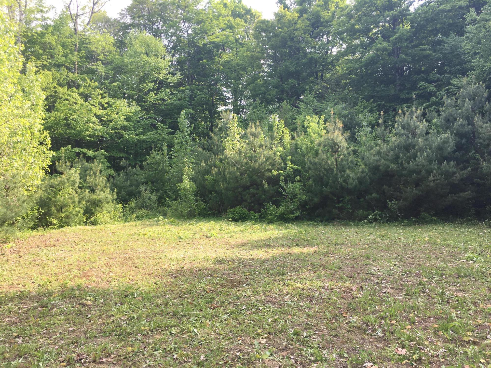 Lot 40.01 Jacobs Ladder Road Becket, MA 01223 - Photo 9 of 9 Open area within the lot