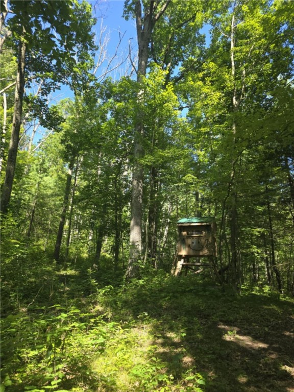 Whitcomb Road Savona, NY 14879 - Photo 11 of 39