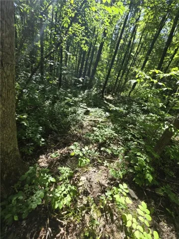 $75,000 | Whitcomb Road, Savona, NY 14879