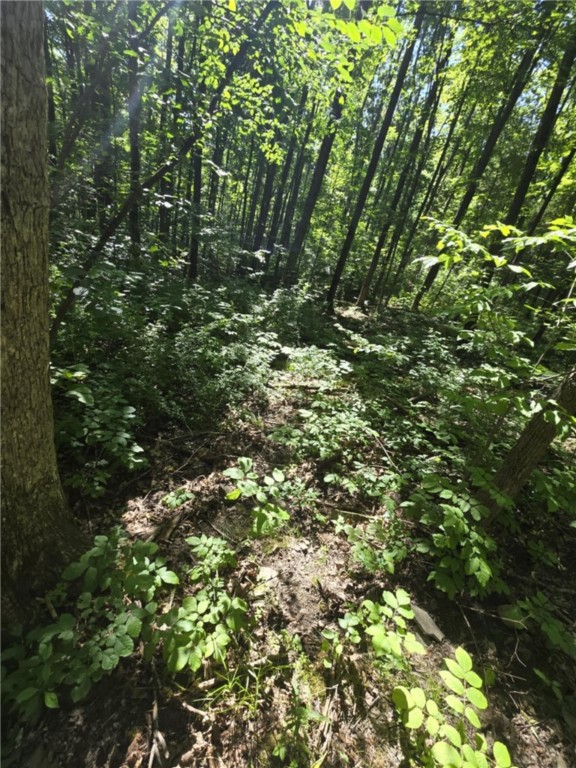 Whitcomb Road Savona, NY 14879 - Photo 12 of 39