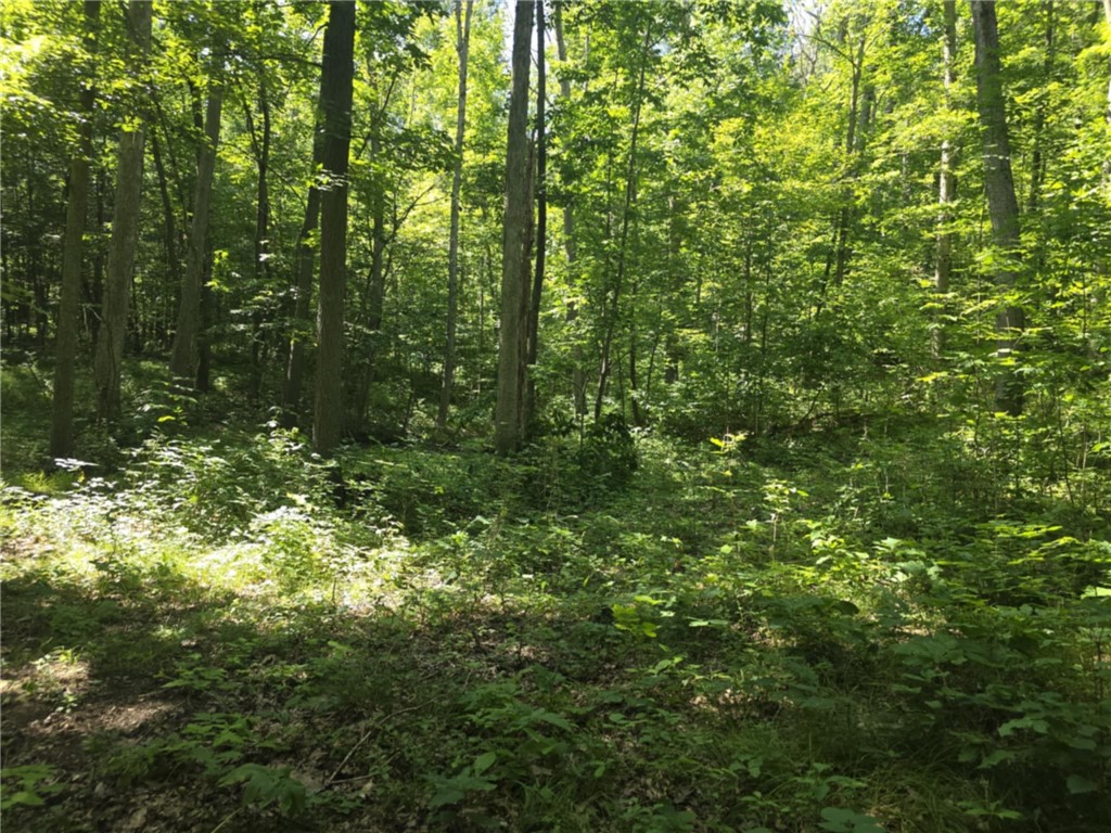 Whitcomb Road Savona, NY 14879 - Photo 14 of 39