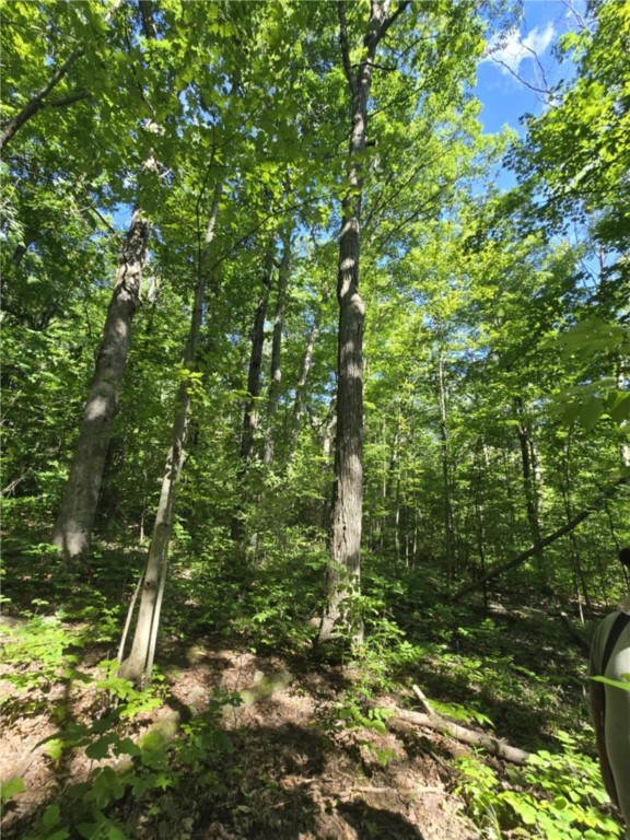 Whitcomb Road Savona, NY 14879 - Photo 15 of 39