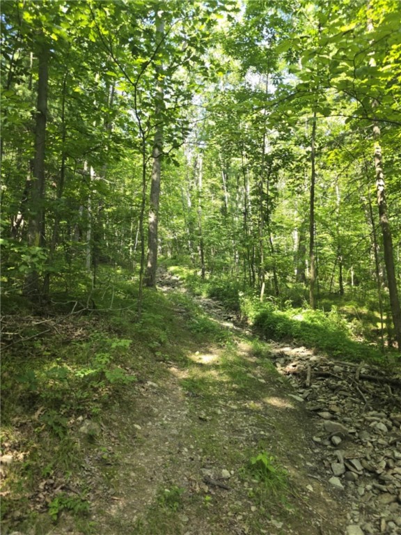 Whitcomb Road Savona, NY 14879 - Photo 17 of 39