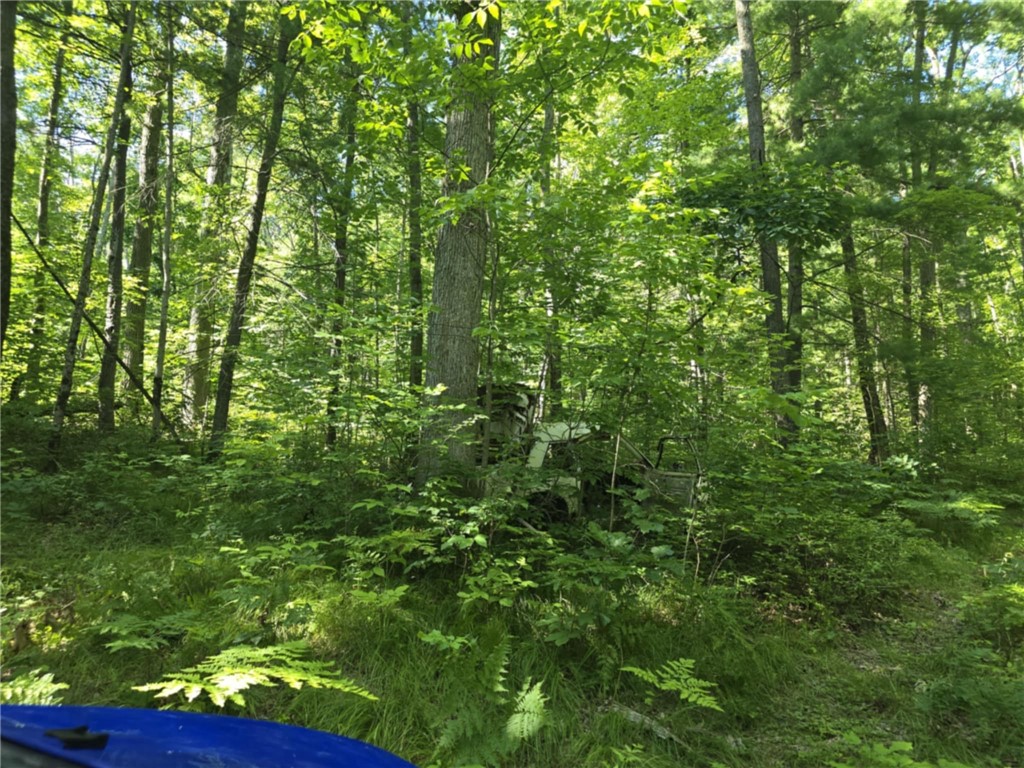 Whitcomb Road Savona, NY 14879 - Photo 18 of 39