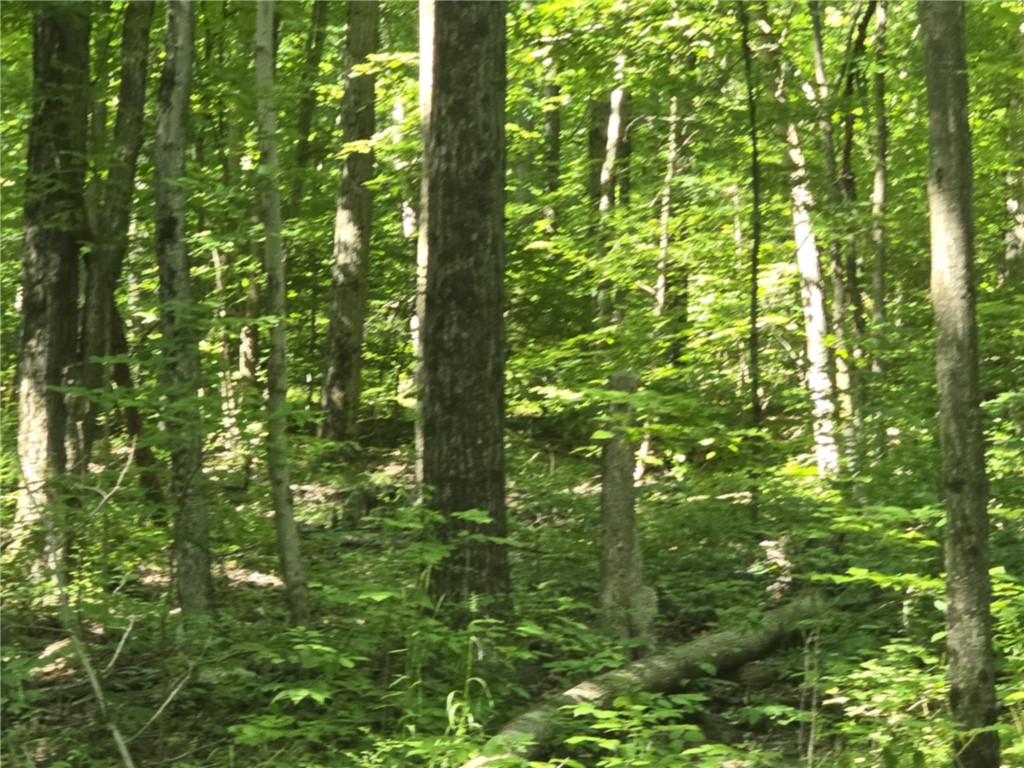 Whitcomb Road Savona, NY 14879 - Photo 20 of 39