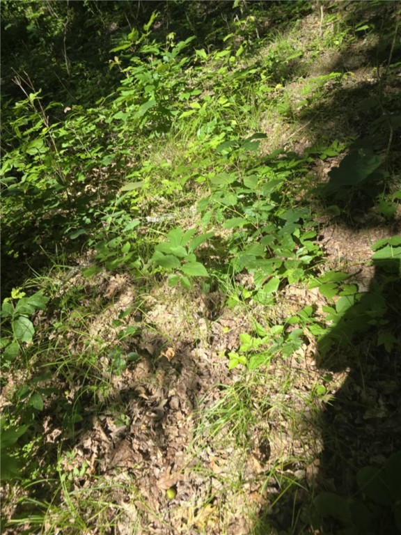 Whitcomb Road Savona, NY 14879 - Photo 2 of 39