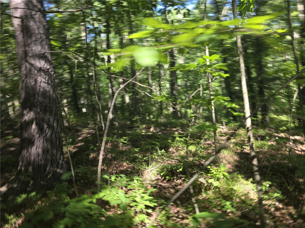 Whitcomb Road Savona, NY 14879 - Photo 21 of 39