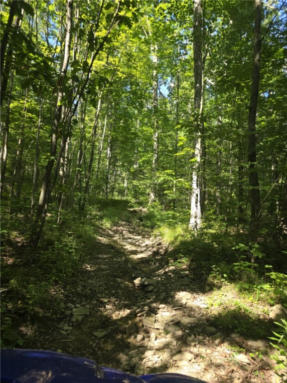 Whitcomb Road Savona, NY 14879 - Photo 22 of 39