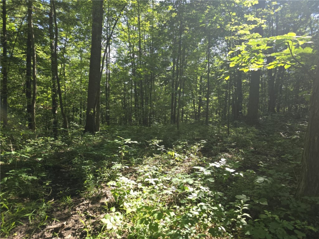 Whitcomb Road Savona, NY 14879 - Photo 23 of 39