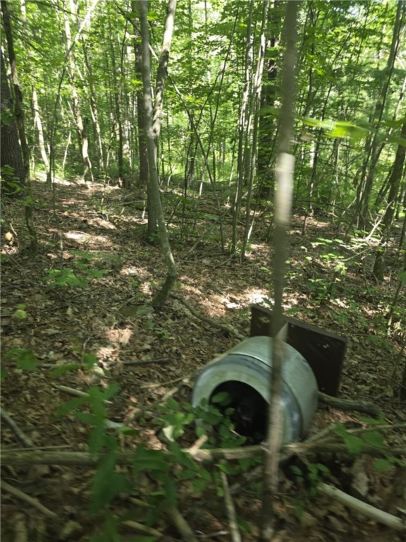 Whitcomb Road Savona, NY 14879 - Photo 26 of 39