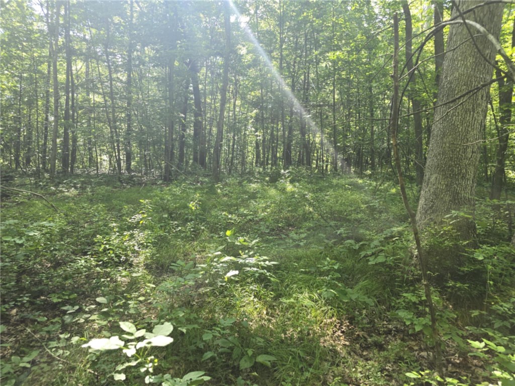 Whitcomb Road Savona, NY 14879 - Photo 27 of 39