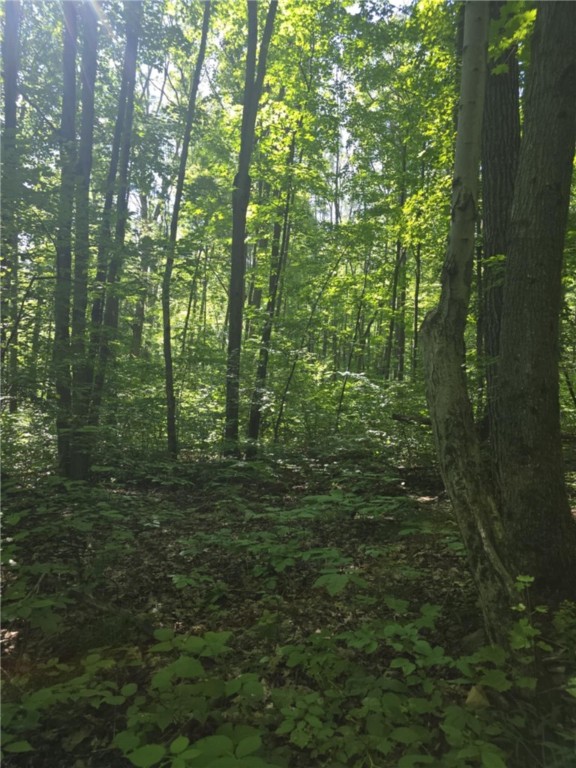 Whitcomb Road Savona, NY 14879 - Photo 28 of 39