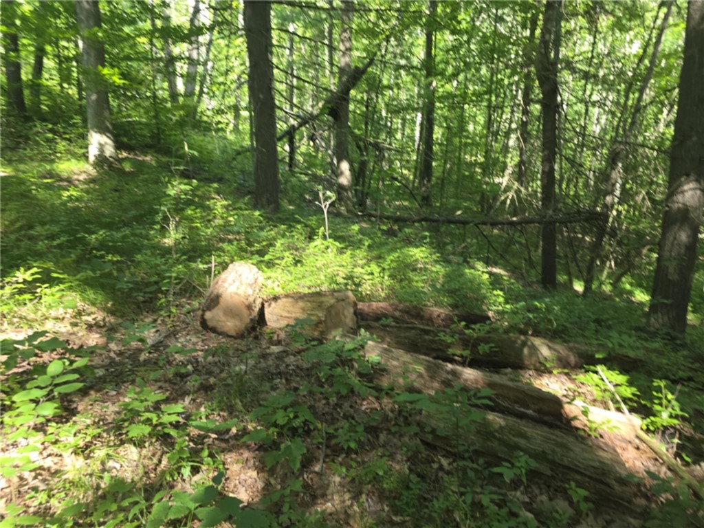 Whitcomb Road Savona, NY 14879 - Photo 3 of 39