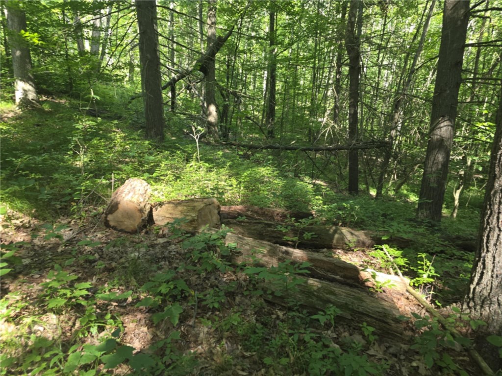 Whitcomb Road Savona, NY 14879 - Photo 31 of 39