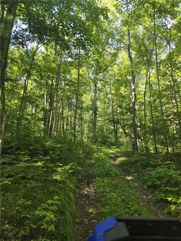 Whitcomb Road Savona, NY 14879 - Photo 32 of 39