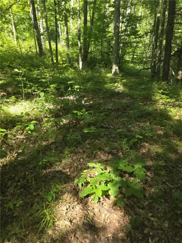 $75,000 | Whitcomb Road, Savona, NY 14879