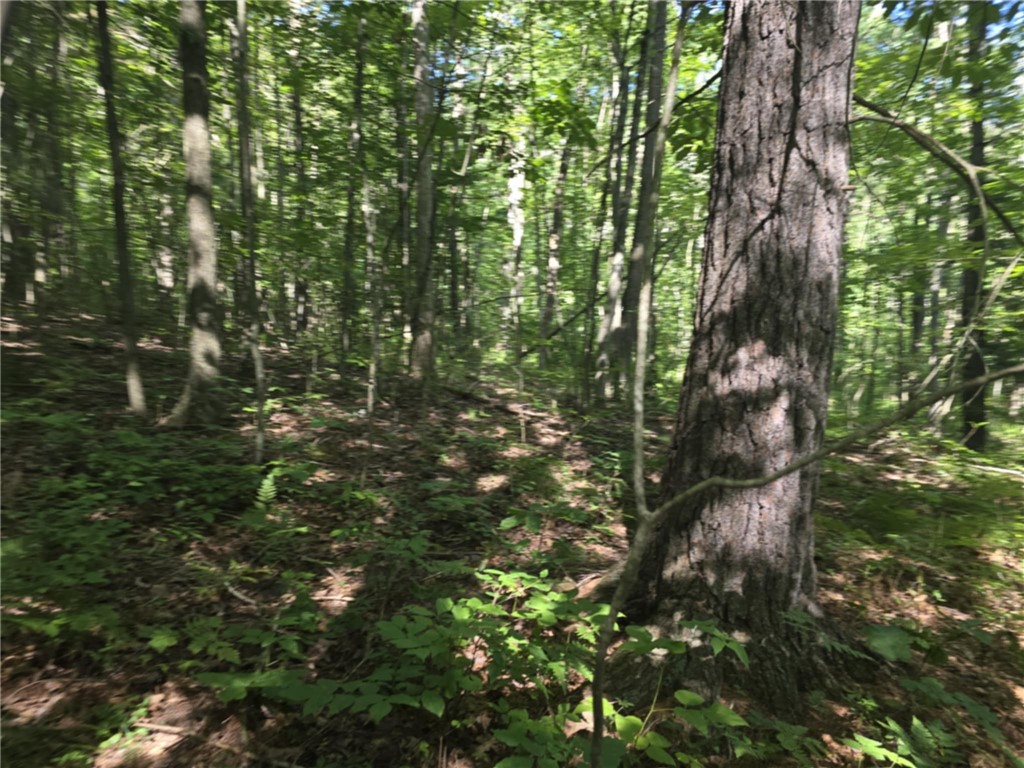 Whitcomb Road Savona, NY 14879 - Photo 34 of 39