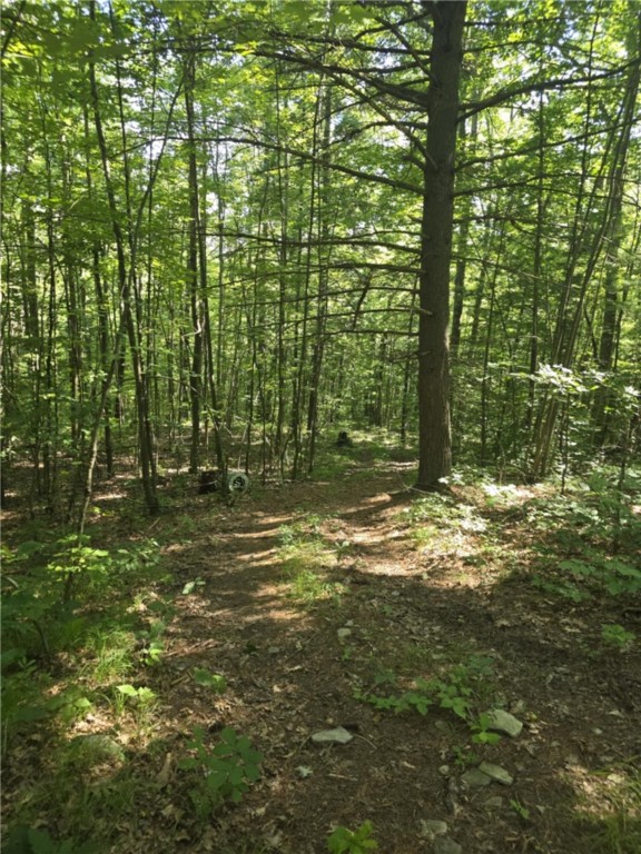 Whitcomb Road Savona, NY 14879 - Photo 5 of 39