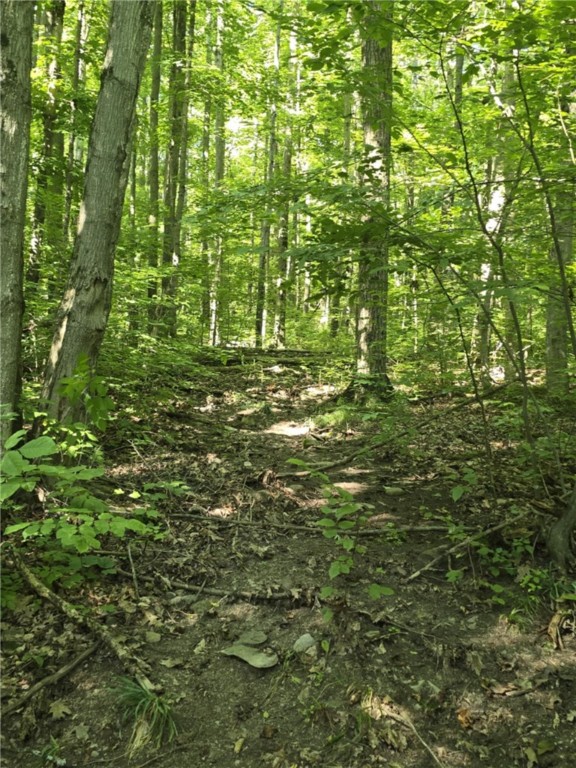 Whitcomb Road Savona, NY 14879 - Photo 7 of 39