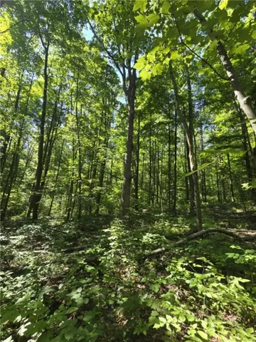 $75,000 | Whitcomb Road, Savona, NY 14879