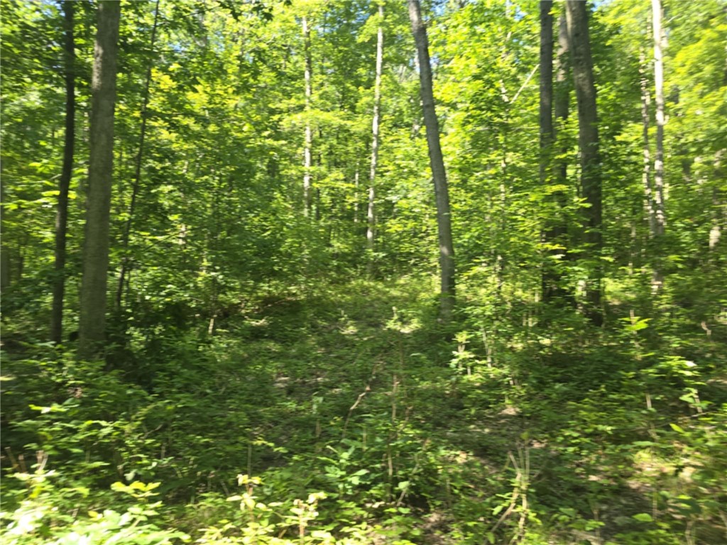 Whitcomb Road Savona, NY 14879 - Photo 9 of 39