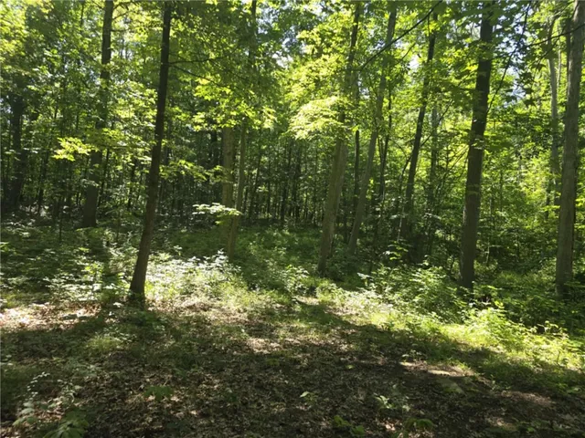 $75,000 | Whitcomb Road, Savona, NY 14879