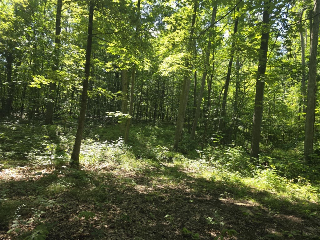 Whitcomb Road Savona, NY 14879 - Photo 10 of 39